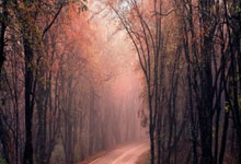 2026超级杯时间确定：阿根廷VS西班牙！球王梅西冲卫冕.：88直播