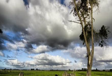 [国]U17亚洲杯预选赛：韩国2-2中国 集锦.：88直播