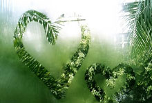 全红婵成年，伯乐归隐.